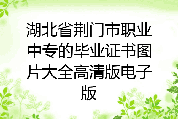 湖北省荆门市职业中专的毕业证书图片大全高清版电子版