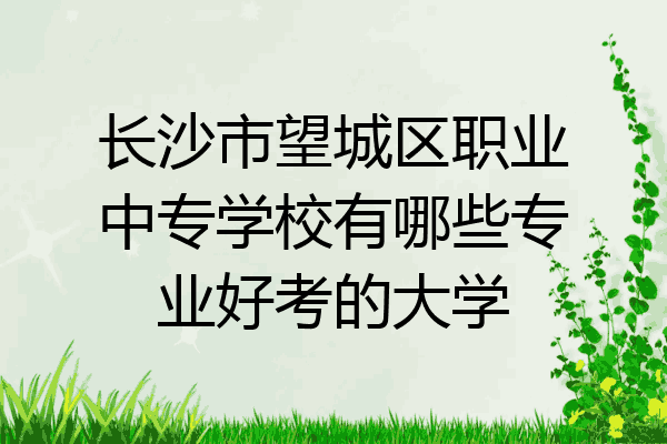 长沙市望城区职业中专学校有哪些专业好考的大学