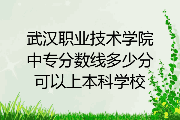 武汉职业技术学院中专分数线多少分可以上本科学校