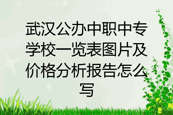 武汉公办中职中专学校一览表图片及价格分析报告怎么写
