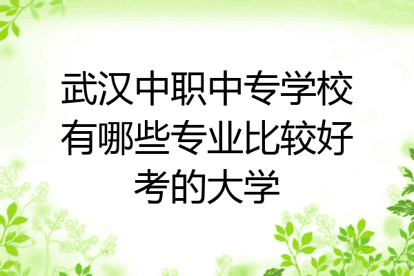 武汉中职中专学校有哪些专业比较好考的大学