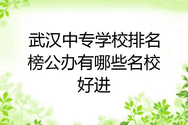 武汉中专学校排名榜公办有哪些名校好进