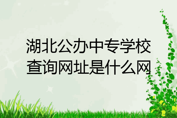 湖北公办中专学校查询网址是什么网
