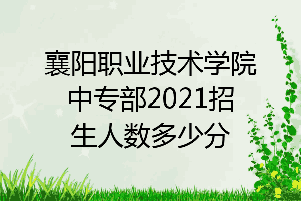 襄阳职业技术学院中专部2021招生人数多少分