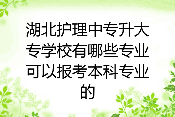 湖北护理中专升大专学校有哪些专业可以报考本科专业的