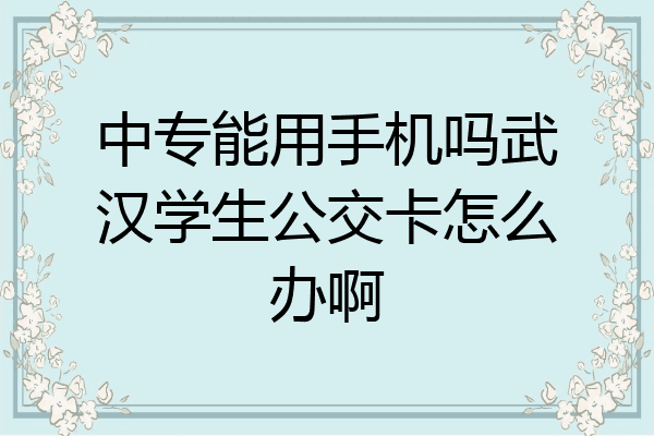中专能用手机吗武汉学生公交卡怎么办啊