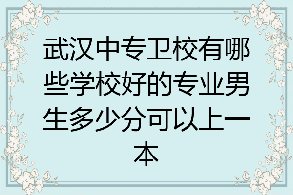 武汉中专卫校有哪些学校好的专业男生多少分可以上一本