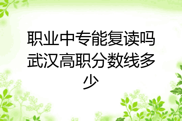 职业中专能复读吗武汉高职分数线多少