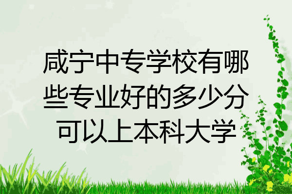 咸宁中专学校有哪些专业好的多少分可以上本科大学