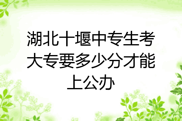 湖北十堰中专生考大专要多少分才能上公办