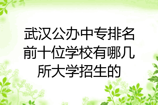 武汉公办中专排名前十位学校有哪几所大学招生的