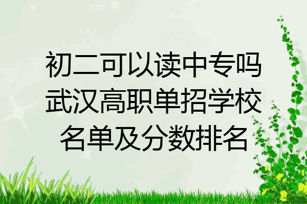 初二可以读中专吗武汉高职单招学校名单及分数排名