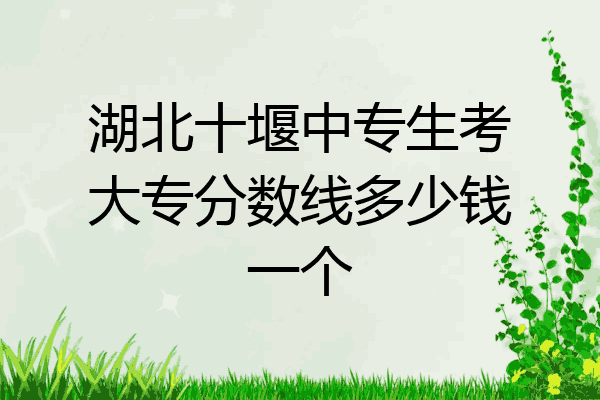 湖北十堰中专生考大专分数线多少钱一个