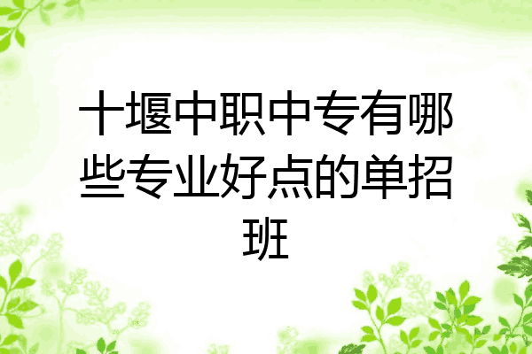 十堰中职中专有哪些专业好点的单招班
