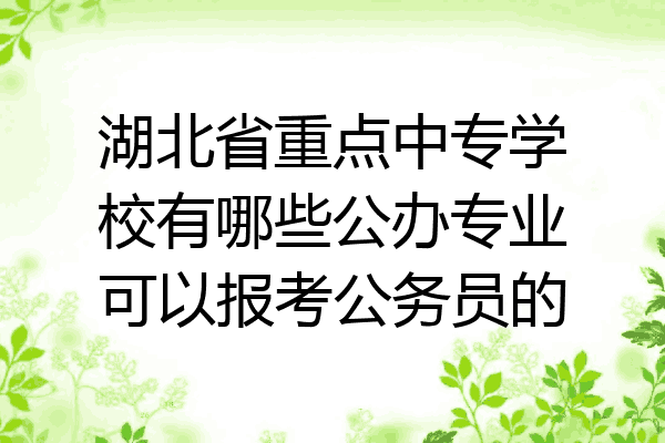 湖北省重点中专学校有哪些公办专业可以报考公务员的