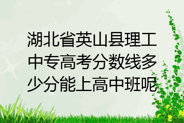 湖北省英山县理工中专高考分数线多少分能上高中班呢