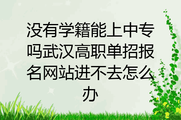 没有学籍能上中专吗武汉高职单招报名网站进不去怎么办