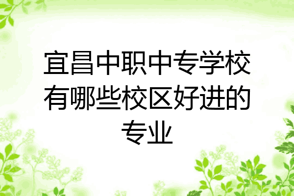 宜昌中职中专学校有哪些校区好进的专业