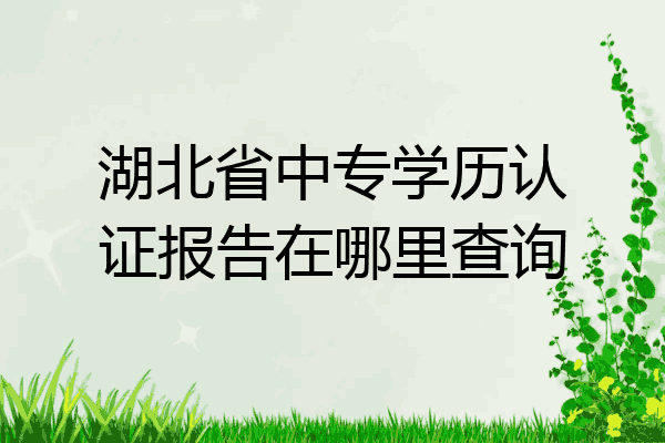 湖北省中专学历认证报告在哪里查询