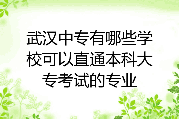武汉中专有哪些学校可以直通本科大专考试的专业