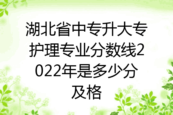 湖北省中专升大专护理专业分数线2022年是多少分及格