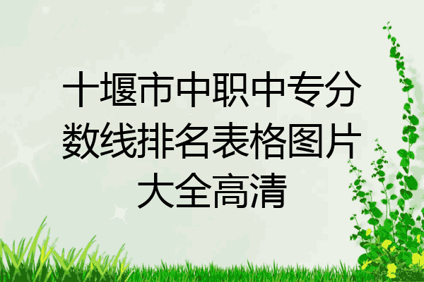 十堰市中职中专分数线排名表格图片大全高清
