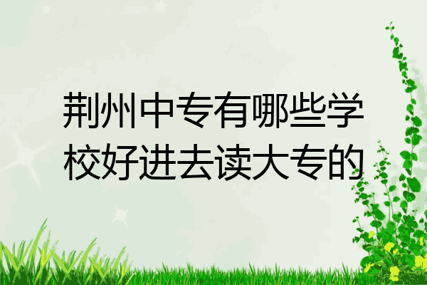 荆州中专有哪些学校好进去读大专的