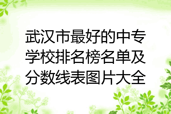 武汉市最好的中专学校排名榜名单及分数线表图片大全