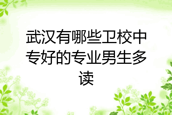 武汉有哪些卫校中专好的专业男生多读