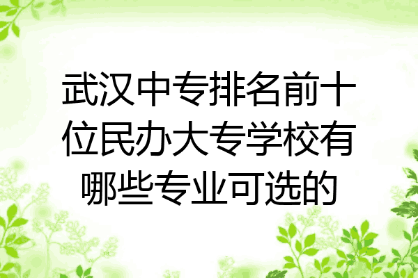 武汉中专排名前十位民办大专学校有哪些专业可选的