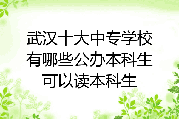 武汉十大中专学校有哪些公办本科生可以读本科生