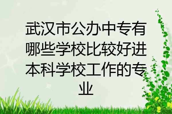 武汉市公办中专有哪些学校比较好进本科学校工作的专业