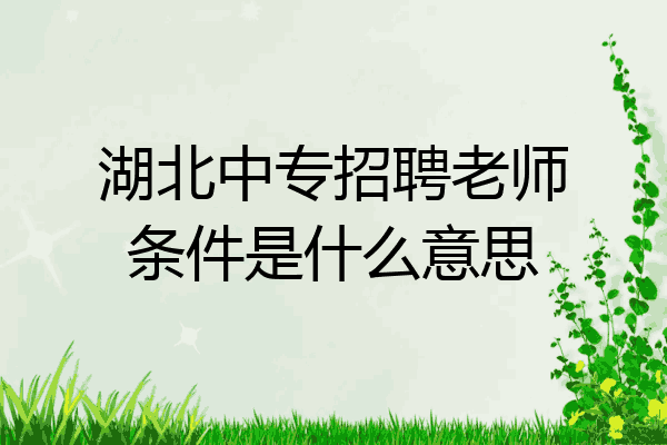 湖北中专招聘老师条件是什么意思
