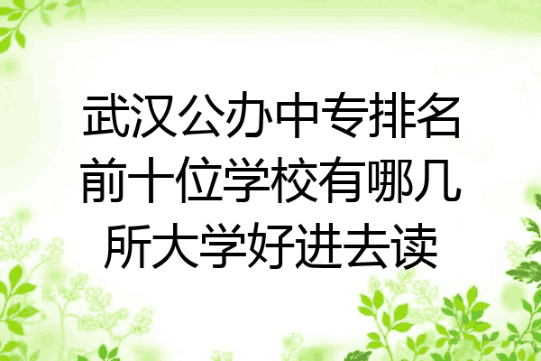 武汉公办中专排名前十位学校有哪几所大学好进去读