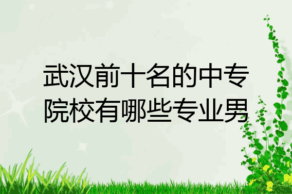 武汉前十名的中专院校有哪些专业男