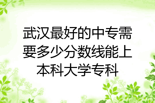 武汉最好的中专需要多少分数线能上本科大学专科