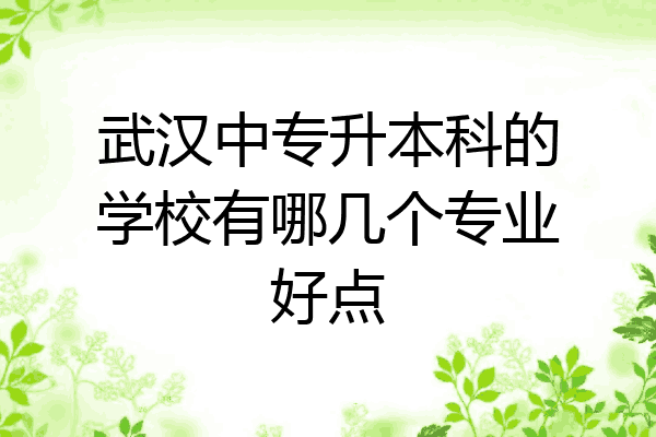 武汉中专升本科的学校有哪几个专业好点