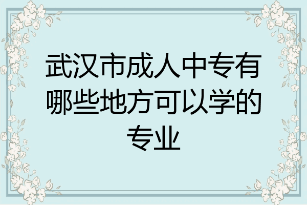 武汉市成人中专有哪些地方可以学的专业