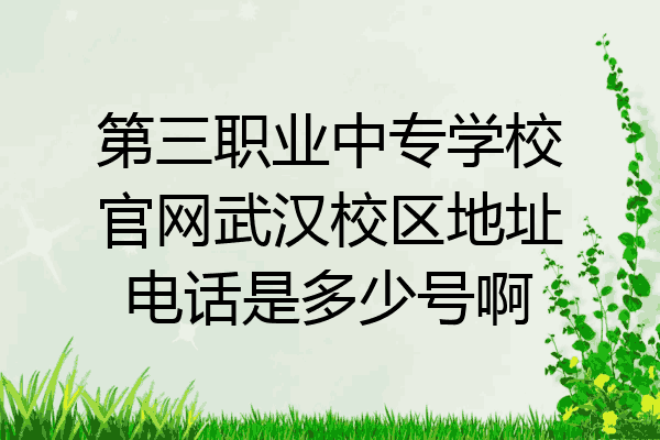 第三职业中专学校官网武汉校区地址电话是多少号啊