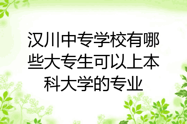 汉川中专学校有哪些大专生可以上本科大学的专业