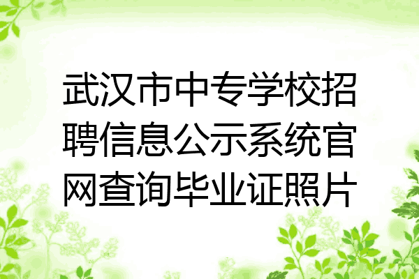 武汉市中专学校招聘信息公示系统官网查询毕业证照片