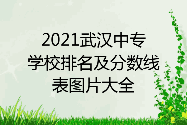 2021武汉中专学校排名及分数线表图片大全