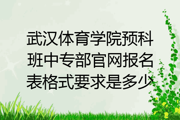 武汉体育学院预科班中专部官网报名表格式要求是多少