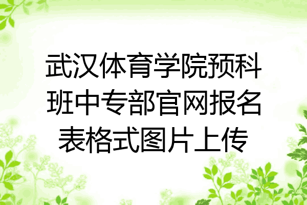 武汉体育学院预科班中专部官网报名表格式图片上传