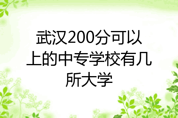 武汉200分可以上的中专学校有几所大学