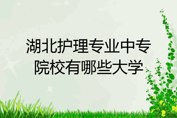 湖北护理专业中专院校有哪些大学