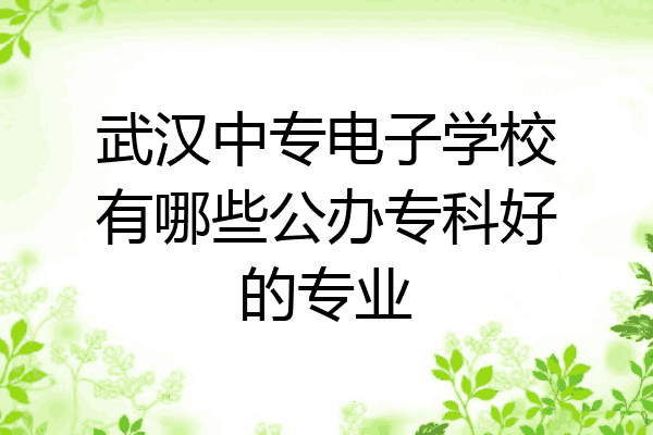 武汉中专电子学校有哪些公办专科好的专业