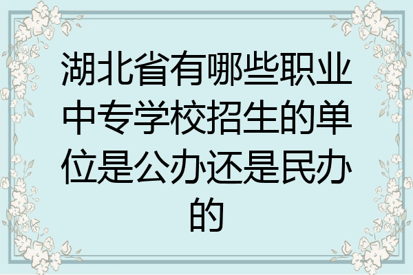湖北省有哪些职业中专学校招生的单位是公办还是民办的