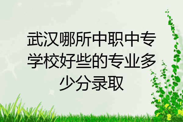 武汉哪所中职中专学校好些的专业多少分录取