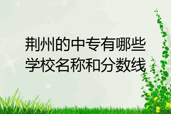 荆州的中专有哪些学校名称和分数线